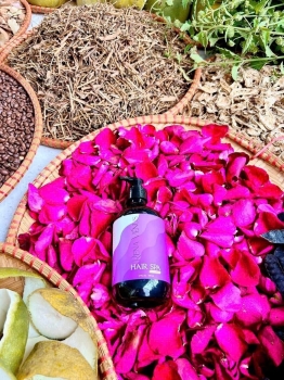 Tổng hợp hơn 30 cách kết hợp bồ kết và các nguyên liệu thiên nhiên để gội đầu